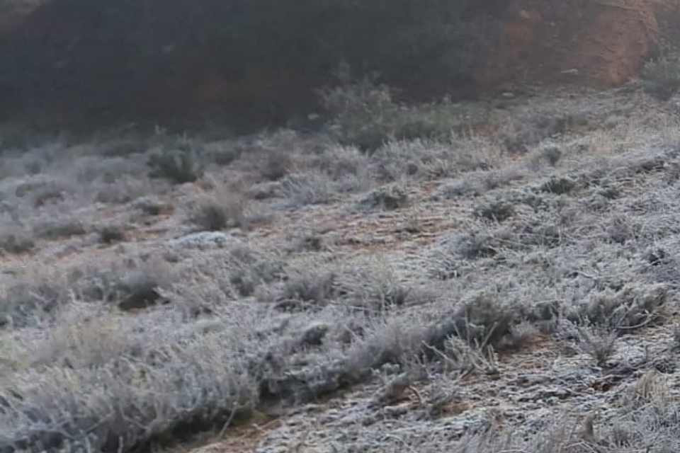 Nu Valos Marca La M Nima C De Una Noche Bajo Cero En El Alto Jal N