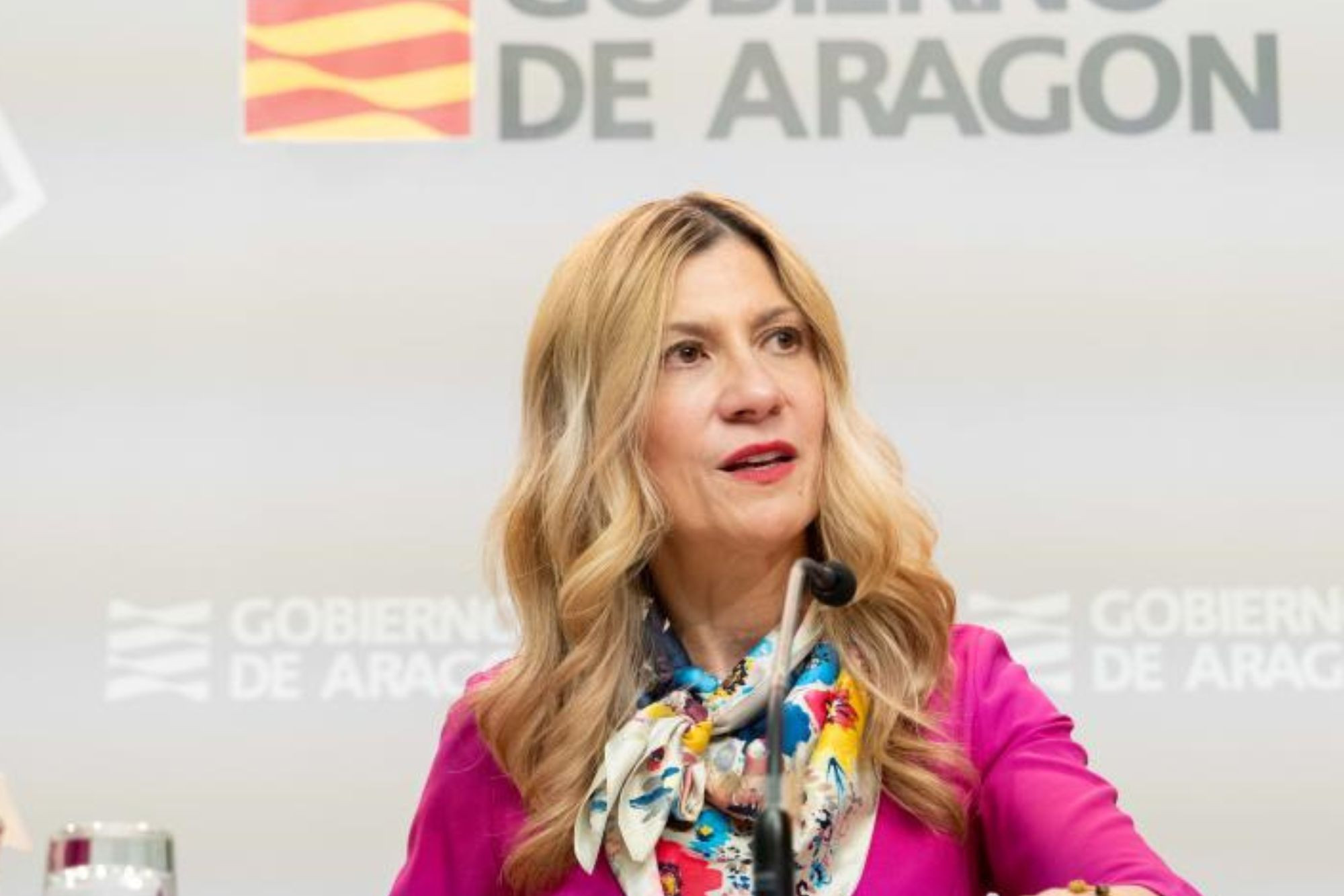 El Gobierno De Arag N Califica Como Jur Dicamente Intachable La